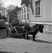 Skara. 
Lions club. 
Reklam för loppmarknad 1960? 
Siv Johansson och Lars Arfvidsson.