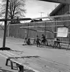 Marknad i Falköping 22/3 1963.