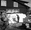 Göteborgs hamn. (1949?)