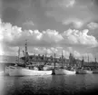 Göteborgs hamn. (1949?)