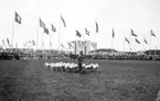 Axvallsutställningen hölls i samband med Lantbruksmötet i Axvall 1935.