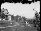 Tidaholmssamlingen.
Foto: Mivis eller Signe Lidwall.
Firman Ad. Lidwall etablerades 1862. Mivis Lidwall f.1856 och Adolf Lidwall drev den tillsammans med sin dotter Signe.
Plåten är skiktskadad.