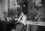 Augusta Josefina Lagergren, född Svensson.
Född 1860 i Fröjereds sn.
Död 1934 i Tidaholm.
Bodde år 1900 tilllsammans med sin make Johan August Lagergren å Klämmesbo i Fröjereds sn.