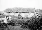 Foto: Karl Fredrik Andersson, Skultorp.
Okt. 1913.