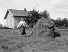 HÖ STÄCKS PÅ BO GÅRD I LUGNÅS.