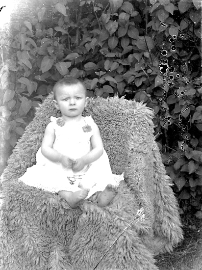 Ateljé. Pojke på fäll i stol.

Fotograf: Ellen Kock? Axel Lundbäck m.fl.
Gullspångssamlingen.
Bilder från Gullspång med omnejd.