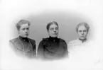 Ingrid Nylander, Anna Nylander, Elsa Nylander.

Charlotte Hermanson, f. 1852, drev fotoateljé på Torggatan 47 i Skara under åren 1885-1916. Filial i Lundsbrunn.