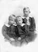 Bröderna Karl M, Knut G, Nils Gustav Belfrage.