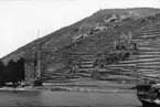 Tyskland. Rhenland, Ehrenfels.
Foto: Römmler & Jonas KS, Dresden 1890.