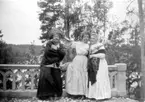 Album, Sven Kjellberg Springfeldt 1910-1911.
Agnes de Frumeries samling, Danderyd.

Fototid: 16/7 1911.

Sophie Kjellberg gratuleras på 76- årsdagen d. 16 Juli 11.