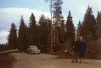 Heljesgården, Bolum.
Efter stora stormen år 1969.