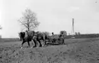 Heljesgården, Bolum. 
Sådd. 
Erik Gustavsson med hästen Docka, 1940-tal.