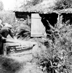 Thure Elgåsen. f. 1910. d. 6/9-1985. 
Tivedenkännare, konsth