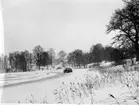 Isrally på Skärvalången, i bakgrunden Tranåsen, slutet av 1960-talet.