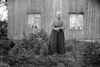 Skräddarmästare Carl G. Petterssons samling, Törestorp, Daretorp. Fotona är från slutet av 1800-talet till början av 1900-talet.