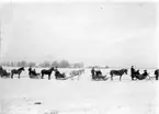 Skräddarmästare Carl G. Petterssons samling, Törestorp, Daretorp. Fotona är från slutet av 1800-talet till början av 1900-talet.