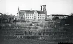 Biblioteket framför Domkyrkan.