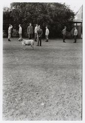 Värnplikt på regementet I3 i Örebro 1956-57