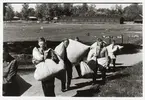 Mats Holmstrands värnplikt på regementet I3 i Örebro 1956-57