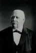 Theodor Willhelm Jeansson. Född i Karlskrona 28/10 1808, död i Kalmar 23/3 1885. Grosshandlare i Kalmar, illitterat rådman. Farbror till Johan Julius Jeansson.
