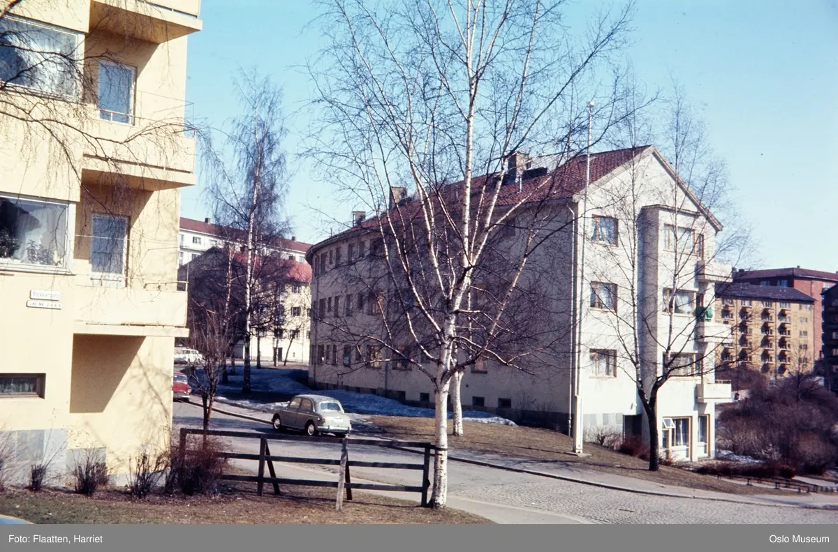 boligblokker, hager, biler