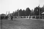 Kungliga Hälsinge Regemente: 300-årsjubileum 1924.
Kung Gustaf V tar emot paraderande trupper.