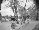 Gävle stad  Väster, Stadsträdgården.
Stadsträdgården och kraftverket i Gavleån.