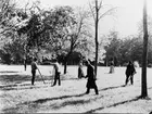 Gävle stad  Väster, Stadsträdgården.
Slåttningsarbetei Stadsträdgården på 1910-talet.