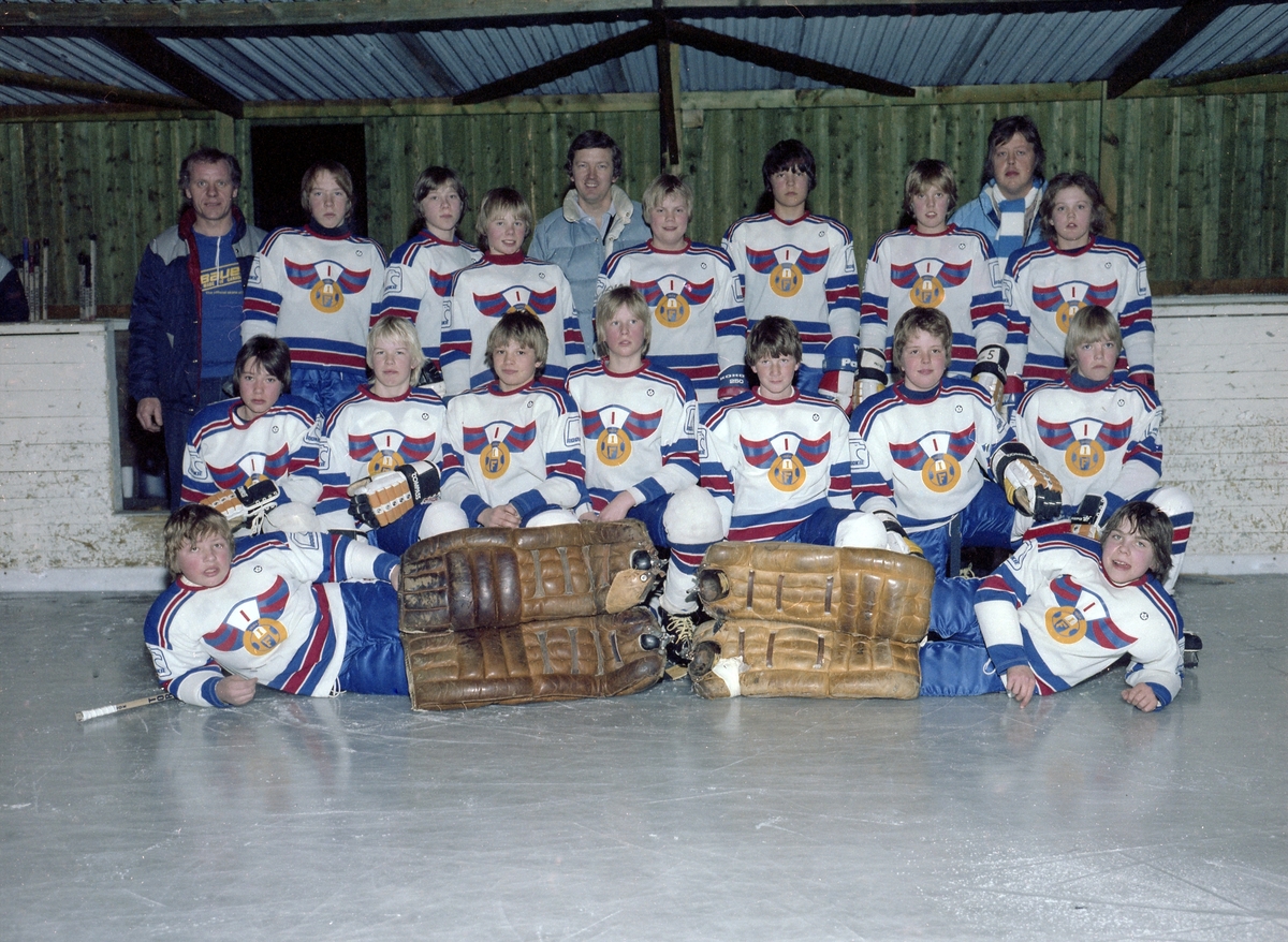 Pojkishockeylag 1982 Hedesunda IK