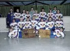 Pojkishockeylag 1982 Hedesunda IK