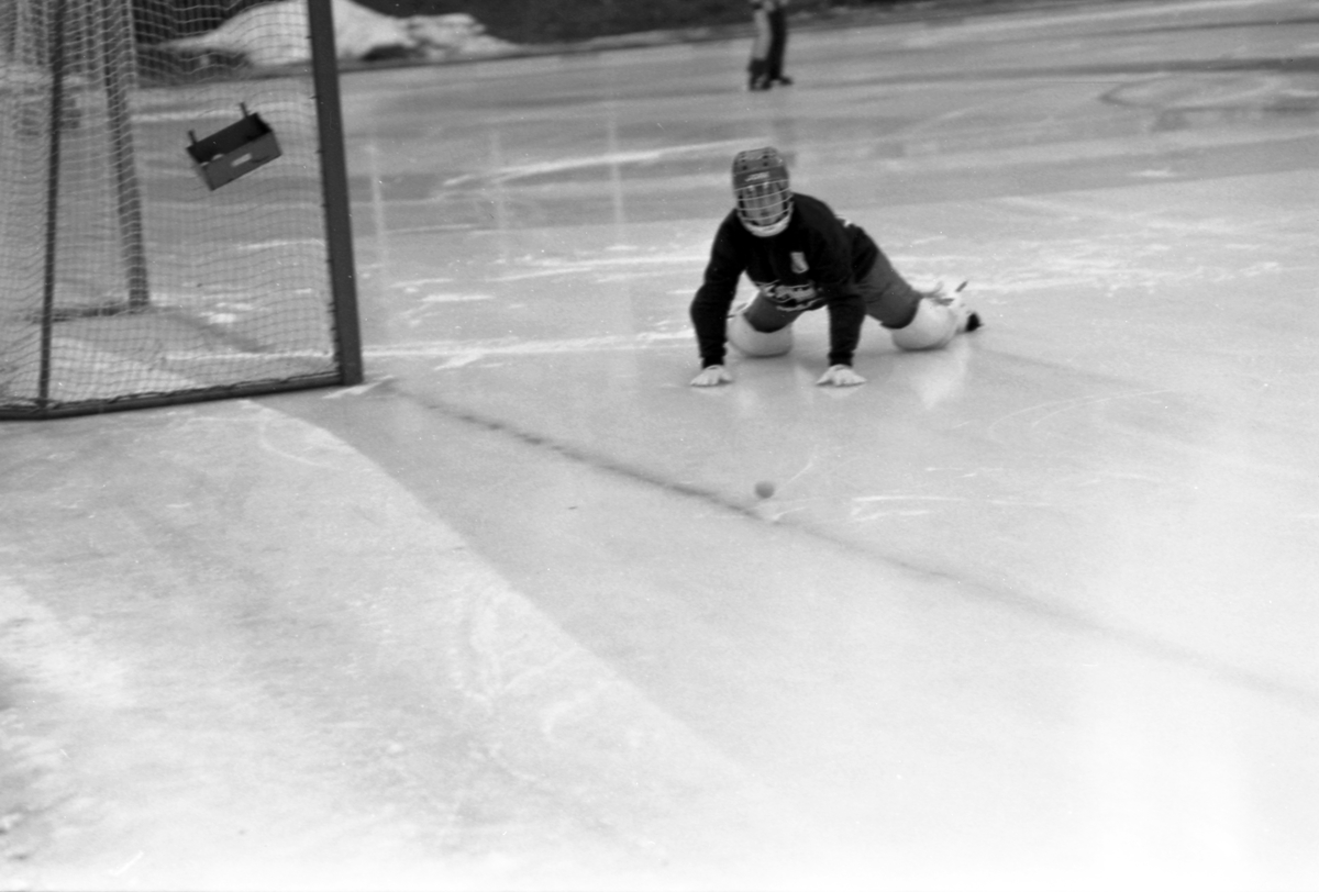 Dambandy Strömsbro-Uppsala. Januari 1988