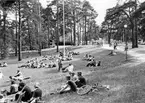 Festival i Boulognerskogen Gävle