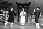 Japan, underhållning, Gefle Lyriska Teater