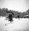 Skolungdomens skidtävlingar.  1941
