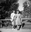 Golfklubben. 1940