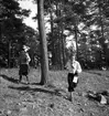 Riksorientering. 1941