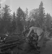 Konsums spillvedsinsamling. 1942