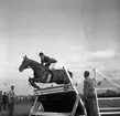 Ryttartävlingar. 1946