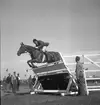 Ryttartävlingar. 1946