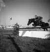 Ryttartävlingar. 1946