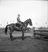 Ryttartävlingar. 1946