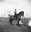 Ryttartävlingar. 1946