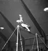 Gävle Gymnastikförenings 10-års jubileum. 1946