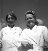 Konsum terassen. 1947