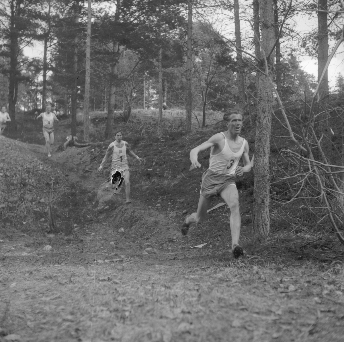 DM i terräng. 1946

En skada på negativet på löpare nr:2.