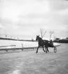 Trav i februari 1946.