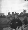 Premering för höstmeetingen.
Travet den 26/8 -1947