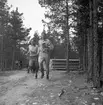 Godtemplar SM i orientering. 1946