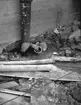 En iller på bygget. 1946