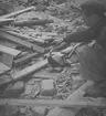 En iller på bygget blir matad. 1946
